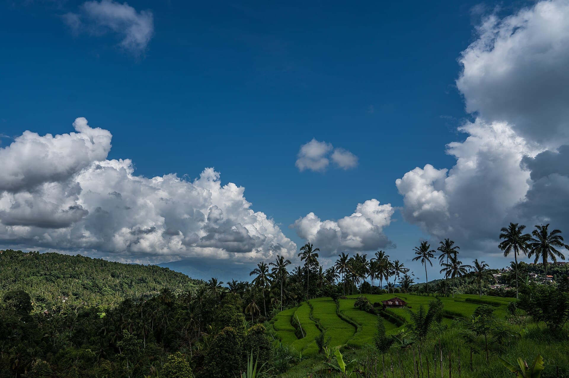 Munduk vs Sidemen: Quiet Luxury Villas Compared — Honest 2026 Guide