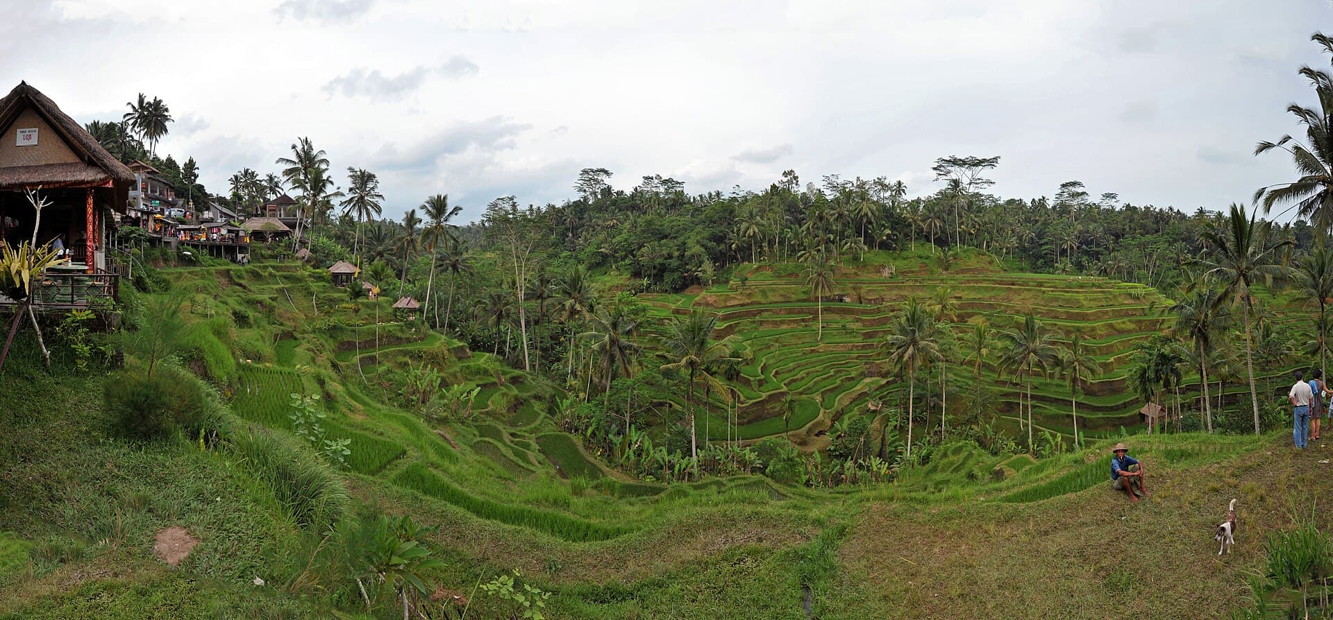Ubud, Bali 2026: Where to Stay for Quiet Luxury — Honest Area Guide
