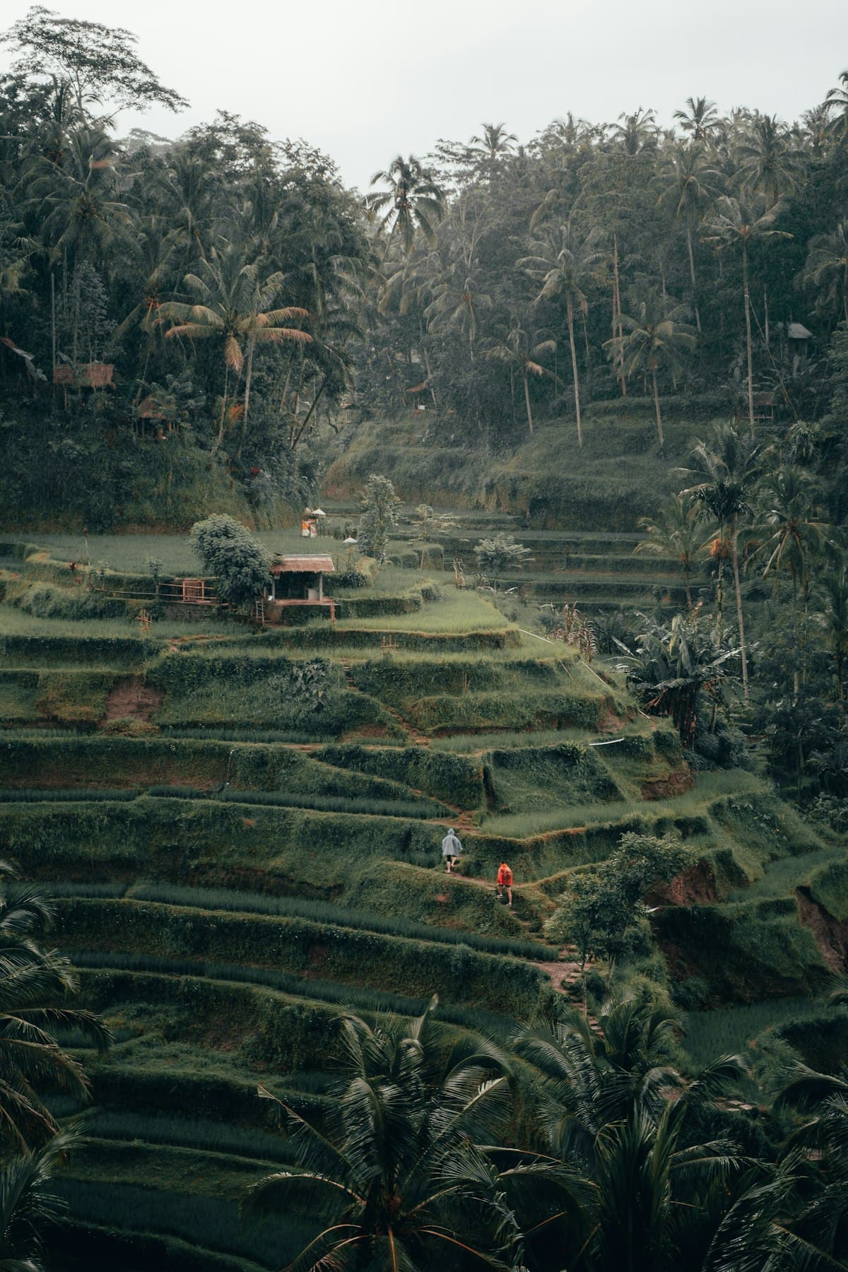 Munduk